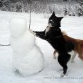 schneemann1