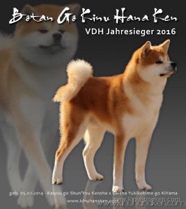 add boti jahressieger