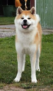 10608987 894980010530280 1831867119 n