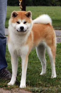 10622370 894980000530281 1416992166 n