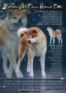 42991703 2292829794078621 5208892570872053760 o