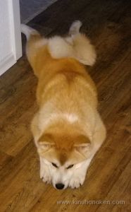 Nokia Lumia 920 20131222 003