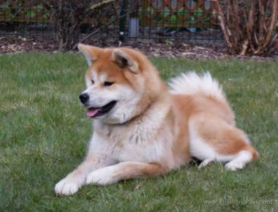 10447603 827949563950594 398731307330564544 n