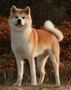 12195047 1153789284649350 5857979741358485686 o