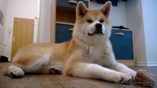 Nokia Lumia 920 20140201 003