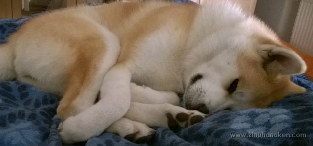 Nokia Lumia 920 20140630 23 51 17 Pro