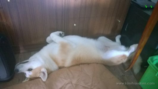 Nokia Lumia 920 20140713 18 30 50 Pro