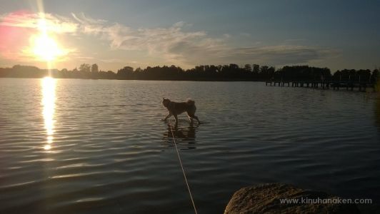 Nokia Lumia 920 20140827 19 30 29 Pro