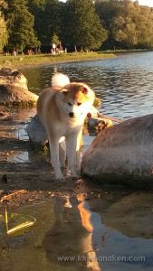 Nokia Lumia 920 20140827 19 31 31 Pro