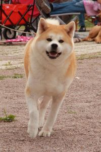 35489499 2128505290511073 7527518141493018624 n