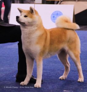 46339354 2359749280720005 8285968821475344384 n