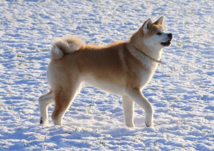 49246574 2457082610986671 750101126119948288 o