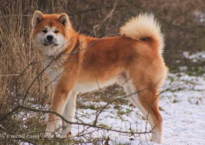 50557966 2465603333467932 1689396115679477760 n