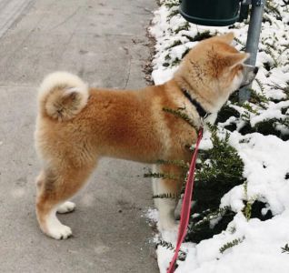 50658285 2463955330299399 3882556723692568576 n