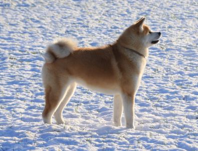 50661404 2457082620986670 318093494214197248 o