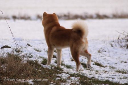 50783940 2465603010134631 2869840230280593408 n