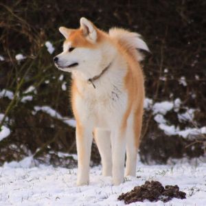 50877566 2465602876801311 5526063115269046272 n