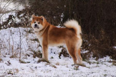 50933551 2465602933467972 3603343231946850304 n