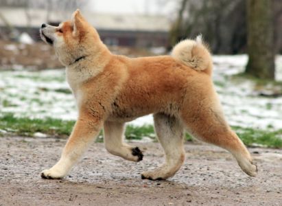 50943297 2469327866428812 3662098826937761792 o