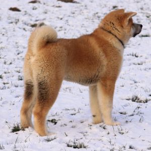 51095749 2465602826801316 4495754989863436288 n