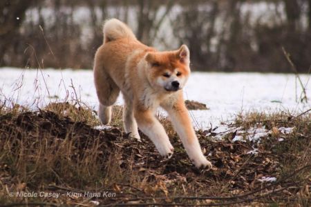 51179600 2465603103467955 3249059664691724288 n