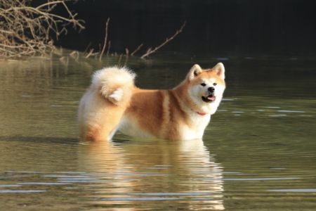 52011351 2502504726444459 4576975866562609152 o