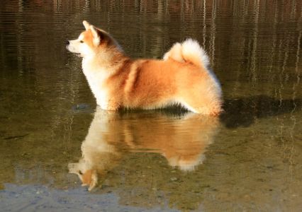 52020709 2502504896444442 8455165501868343296 o