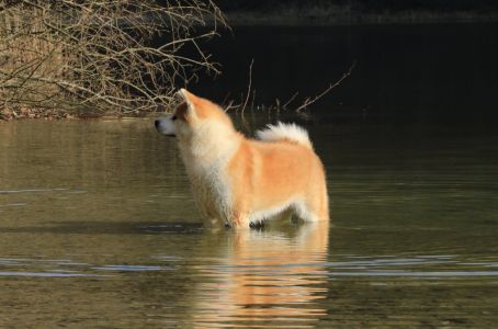 52029374 2502504689777796 3960735187293175808 o