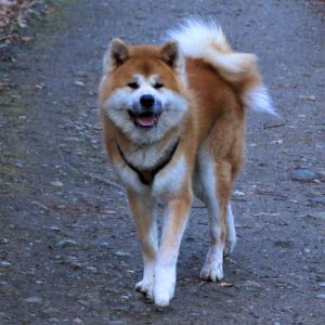 52460308 2502361899792075 2465255066911637504 n