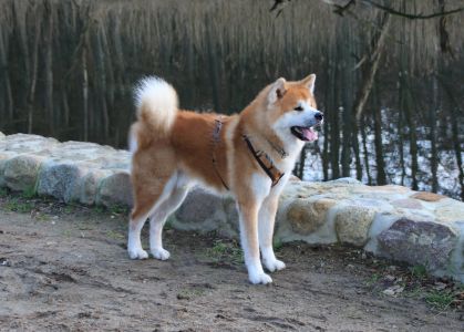 52553594 2502361859792079 5204289461147402240 o