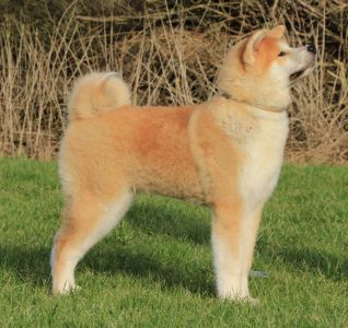 52576381 2511711495523782 9204110628950638592 o