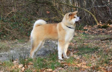 52602900 2502505016444430 89303365200117760 o