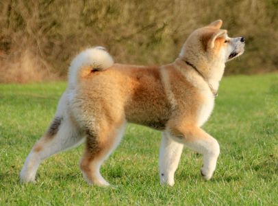 52608773 2511711692190429 8144277210430177280 o