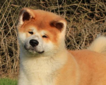 52690336 2511711025523829 4807787585143308288 o