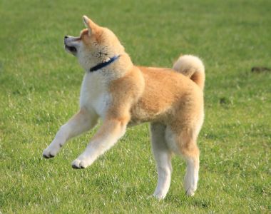 52782481 2511711465523785 6286198878425317376 o