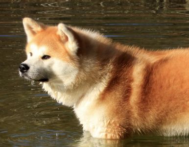 52898492 2502504863111112 2967805161537273856 o