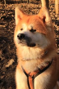 53026391 2502361826458749 7639524394582147072 n