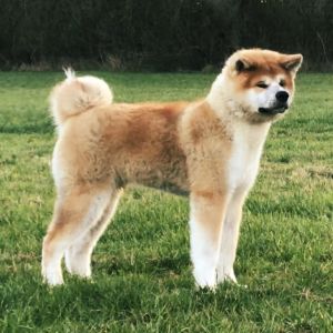 53509494 2532024383492493 4099815952143613952 n