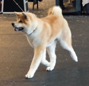 53618365 2544517902243141 6584387230742085632 o