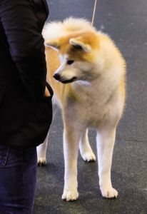 53886037 2544368682258063 4414919758277771264 n