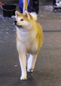 54433216 2544368618924736 1880178223665381376 n