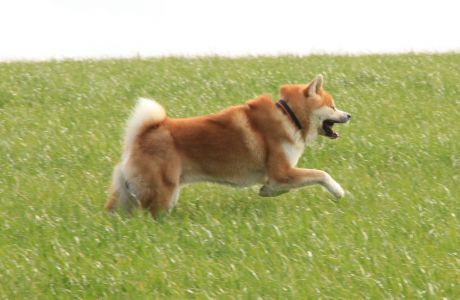 54437095 2555218061173125 2065774111396724736 o