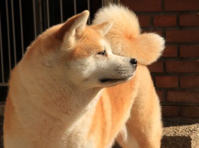 54522887 2555249451169986 2697480065955921920 o