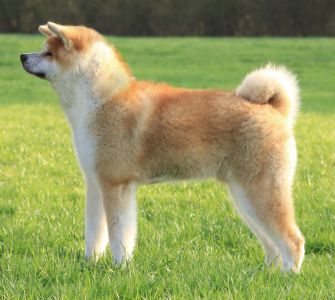 56158132 2566268433401421 7405690243090743296 o