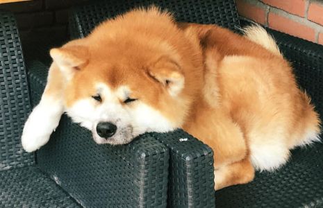 56874396 2576748582353406 1716098709042757632 n