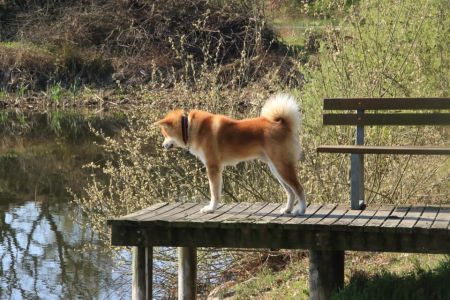 57352877 2596329147062016 4242935180253200384 n