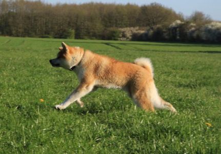 57451172 2598152823546315 1985714349041254400 n