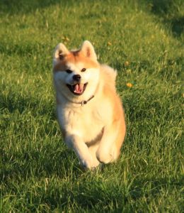 57462805 2598152310213033 2865541328794550272 n