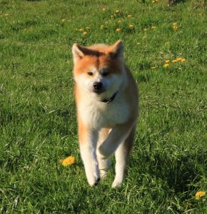 57485949 2598153466879584 7735739560457404416 n