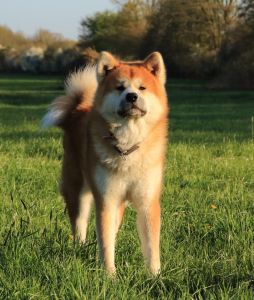 57652732 2598152030213061 5745915623498579968 n